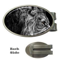 Angry Male Lion Wild Animal Money Clips (oval)  by Loisa77