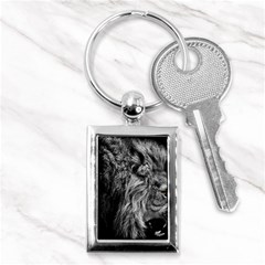 Angry Male Lion Wild Animal Key Chain (rectangle) by Loisa77