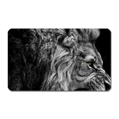 Angry Male Lion Wild Animal Magnet (rectangular) by Loisa77