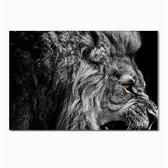 Angry Male Lion Wild Animal Postcard 4 x 6  (pkg Of 10) by Loisa77