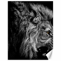 Angry Male Lion Wild Animal Canvas 12  X 16  by Loisa77