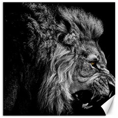 Angry Male Lion Wild Animal Canvas 20  X 20  by Loisa77