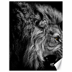 Angry Male Lion Wild Animal Canvas 18  X 24  by Loisa77