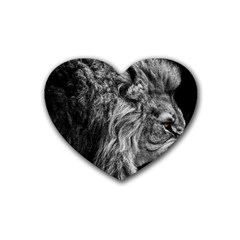 Angry Male Lion Wild Animal Rubber Coaster (heart) by Loisa77