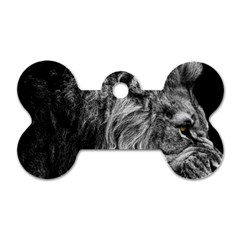 Angry Male Lion Wild Animal Dog Tag Bone (one Side)