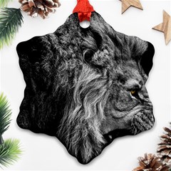 Angry Male Lion Wild Animal Snowflake Ornament (two Sides) by Loisa77