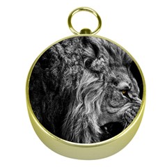 Angry Male Lion Wild Animal Gold Compasses by Loisa77