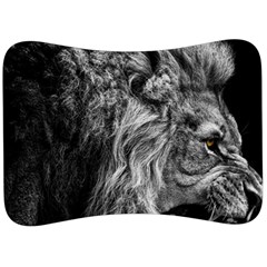 Angry Male Lion Wild Animal Velour Seat Head Rest Cushion