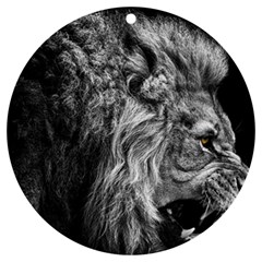 Angry Male Lion Wild Animal Uv Print Acrylic Ornament Round by Loisa77