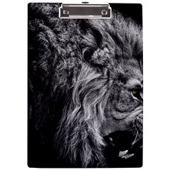 Angry Male Lion Wild Animal A4 Acrylic Clipboard by Loisa77