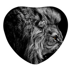 Angry Male Lion Wild Animal Heart Glass Fridge Magnet (4 Pack) by Loisa77