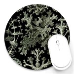 Weave Haeckel Lichenes Photobionten Round Mousepad Front