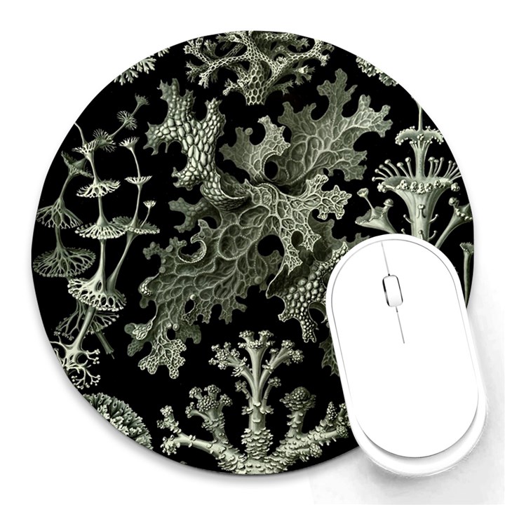 Weave Haeckel Lichenes Photobionten Round Mousepad