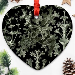 Weave Haeckel Lichenes Photobionten Ornament (heart)