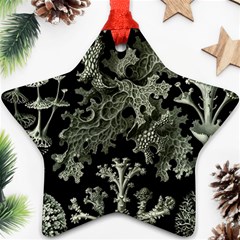 Weave Haeckel Lichenes Photobionten Ornament (star)