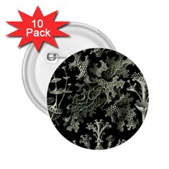 Weave Haeckel Lichenes Photobionten 2 25  Buttons (10 Pack) 