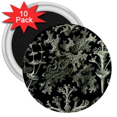 Weave Haeckel Lichenes Photobionten 3  Magnets (10 Pack) 