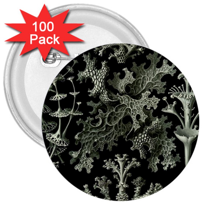 Weave Haeckel Lichenes Photobionten 3  Buttons (100 pack) 