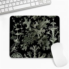 Weave Haeckel Lichenes Photobionten Large Mousepad