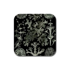 Weave Haeckel Lichenes Photobionten Rubber Square Coaster (4 Pack)