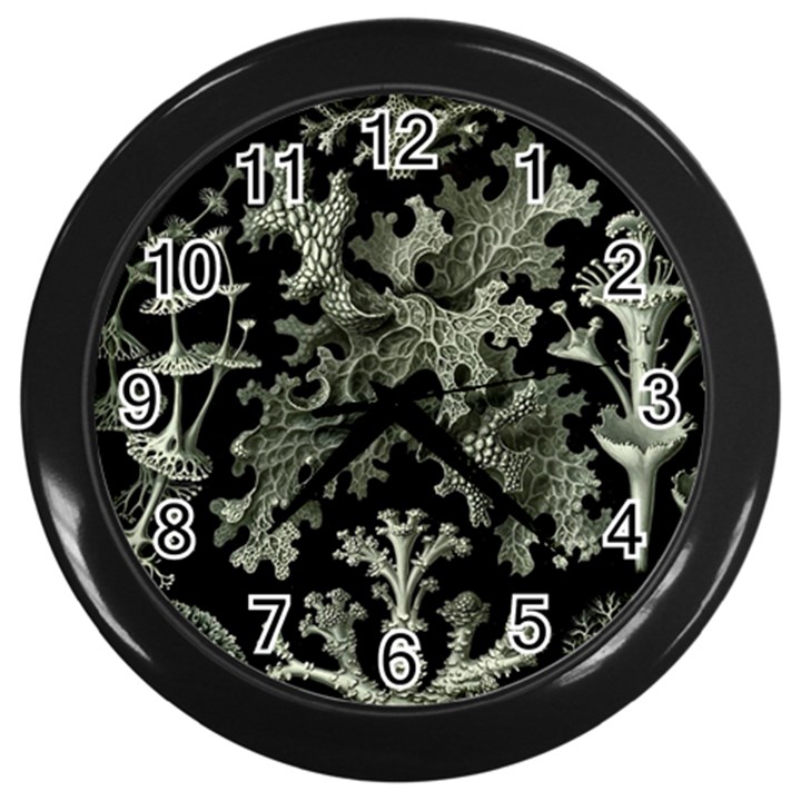 Weave Haeckel Lichenes Photobionten Wall Clock (Black)