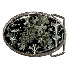 Weave Haeckel Lichenes Photobionten Belt Buckles