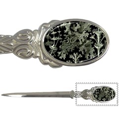 Weave Haeckel Lichenes Photobionten Letter Opener