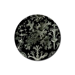 Weave Haeckel Lichenes Photobionten Rubber Round Coaster (4 Pack)