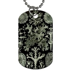 Weave Haeckel Lichenes Photobionten Dog Tag (two Sides)