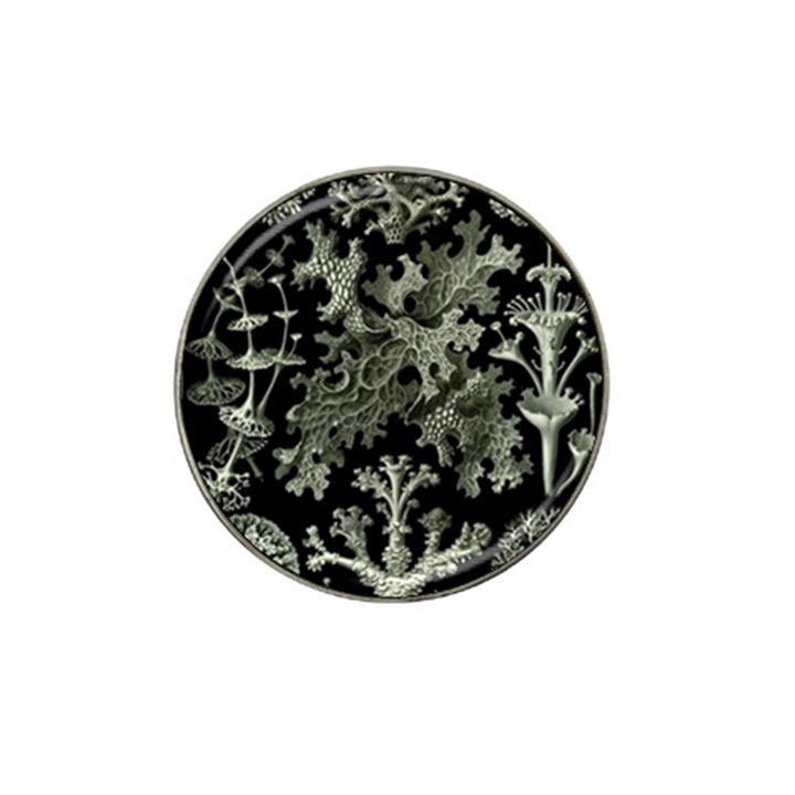 Weave Haeckel Lichenes Photobionten Hat Clip Ball Marker