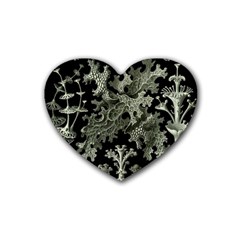 Weave Haeckel Lichenes Photobionten Rubber Coaster (heart)