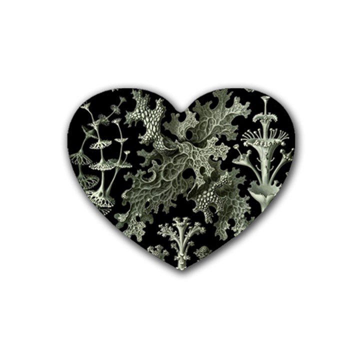 Weave Haeckel Lichenes Photobionten Rubber Heart Coaster (4 pack)