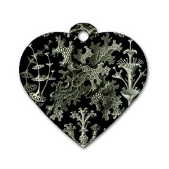 Weave Haeckel Lichenes Photobionten Dog Tag Heart (two Sides)