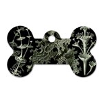 Weave Haeckel Lichenes Photobionten Dog Tag Bone (One Side) Front