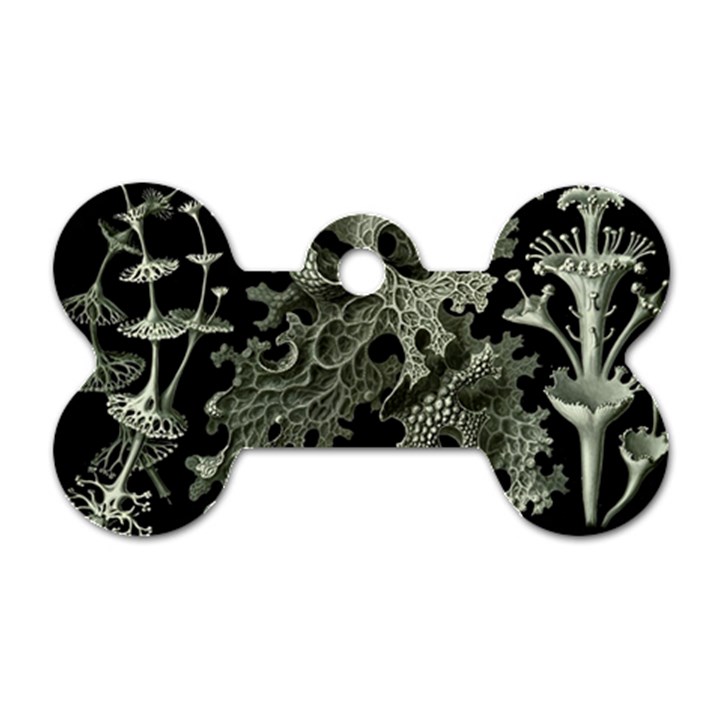 Weave Haeckel Lichenes Photobionten Dog Tag Bone (One Side)