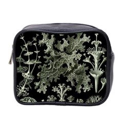 Weave Haeckel Lichenes Photobionten Mini Toiletries Bag (two Sides)