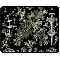 Weave Haeckel Lichenes Photobionten Fleece Blanket (medium) by Cemarart