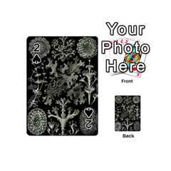 Weave Haeckel Lichenes Photobionten Playing Cards 54 Designs (mini)