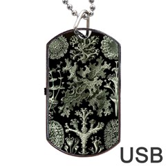 Weave Haeckel Lichenes Photobionten Dog Tag Usb Flash (one Side)