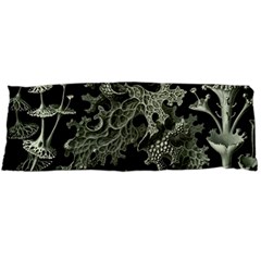 Weave Haeckel Lichenes Photobionten Body Pillow Case (dakimakura)