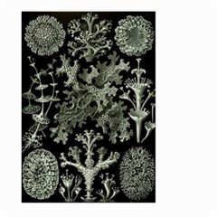 Weave Haeckel Lichenes Photobionten Large Garden Flag (two Sides)