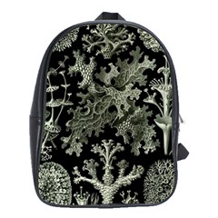 Weave Haeckel Lichenes Photobionten School Bag (xl)