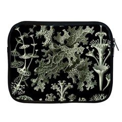 Weave Haeckel Lichenes Photobionten Apple Ipad 2/3/4 Zipper Cases