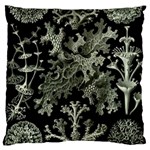 Weave Haeckel Lichenes Photobionten Large Premium Plush Fleece Cushion Case (Two Sides) Front