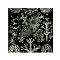 Weave Haeckel Lichenes Photobionten Square Satin Scarf (30  X 30 )