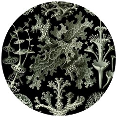 Weave Haeckel Lichenes Photobionten Wooden Puzzle Round