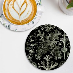 Weave Haeckel Lichenes Photobionten Uv Print Round Tile Coaster