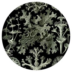 Weave Haeckel Lichenes Photobionten Round Trivet