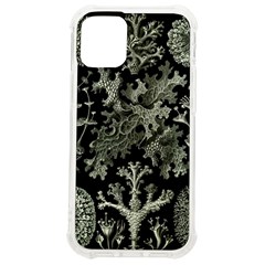 Weave Haeckel Lichenes Photobionten Iphone 12 Mini Tpu Uv Print Case	