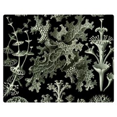 Weave Haeckel Lichenes Photobionten Premium Plush Fleece Blanket (medium) by Cemarart